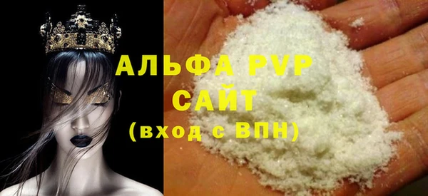 хмурый Пересвет