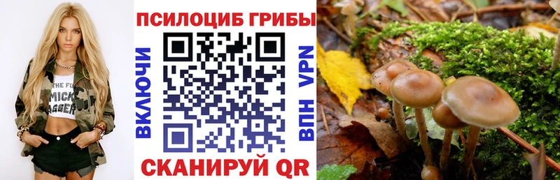 Псилоцибиновые грибы Cubensis  где можно купить   Ульяновск 