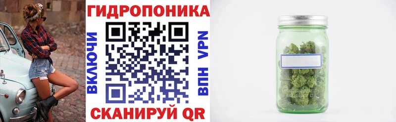 Бошки Шишки White Widow  купить закладку  Ульяновск 